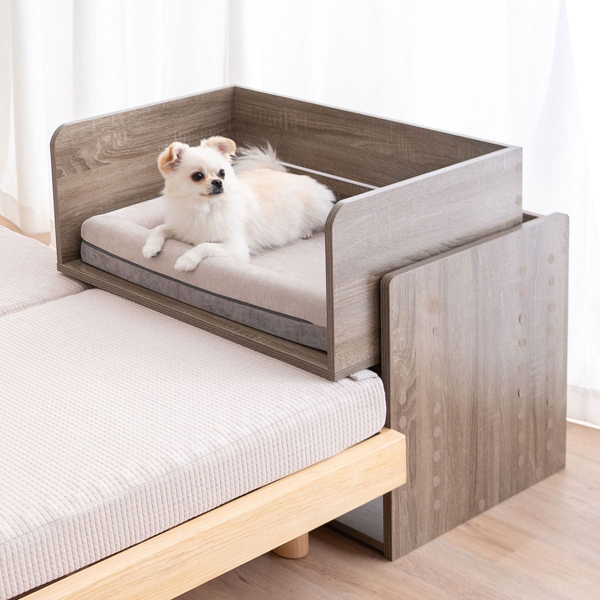 ペット用 添い寝ベッド Mサイズ 小型犬 介護 ベッドフレーム 高