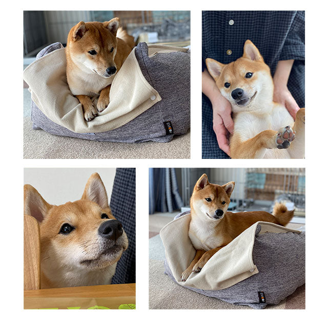 エムール 介護用ドッグベッド XLサイズ ペット用 床ずれ防止 姿勢サポート 寝たきり防止・体位変換 介護用ドッグベッド | 寝具・家具の専門